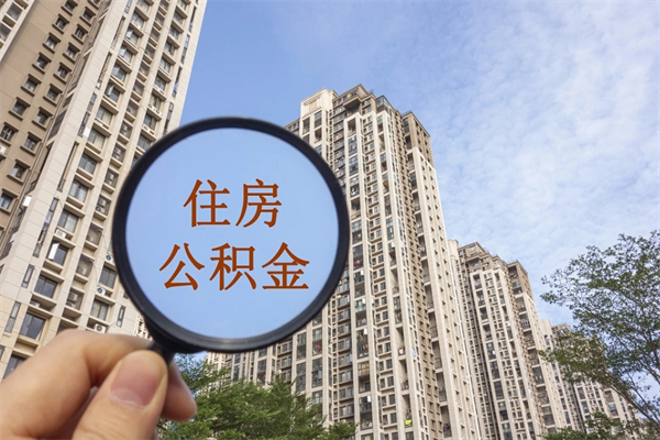 株洲离职后公司不给转公积金怎么办（离职后公司不给转社保怎么办）